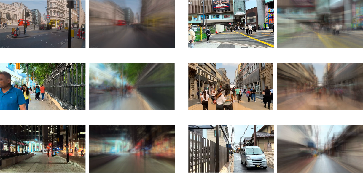 Human vs. Machine Perception